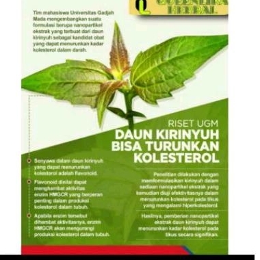 

daun kirinyuh herbal 500g