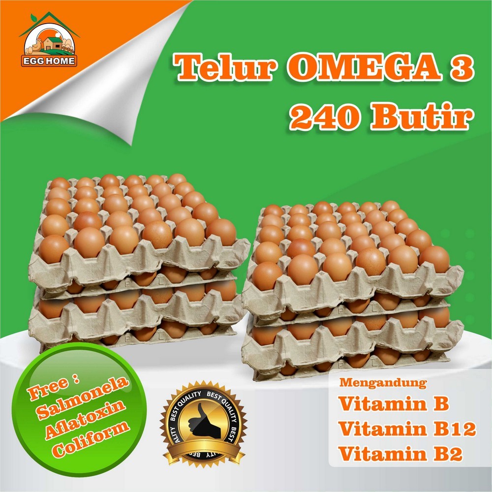 

Telur omega 3, isi 240 butir EGG HOME