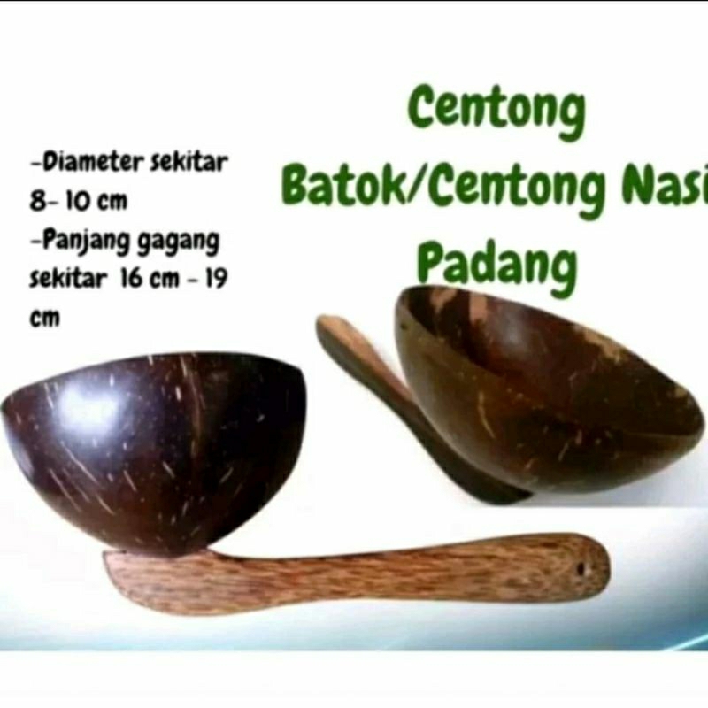 Centong nasi Natural Batok Kelapa Centong Nasi Padang Plastik Alexish Cetakan Nasi Padang Anti Lengk