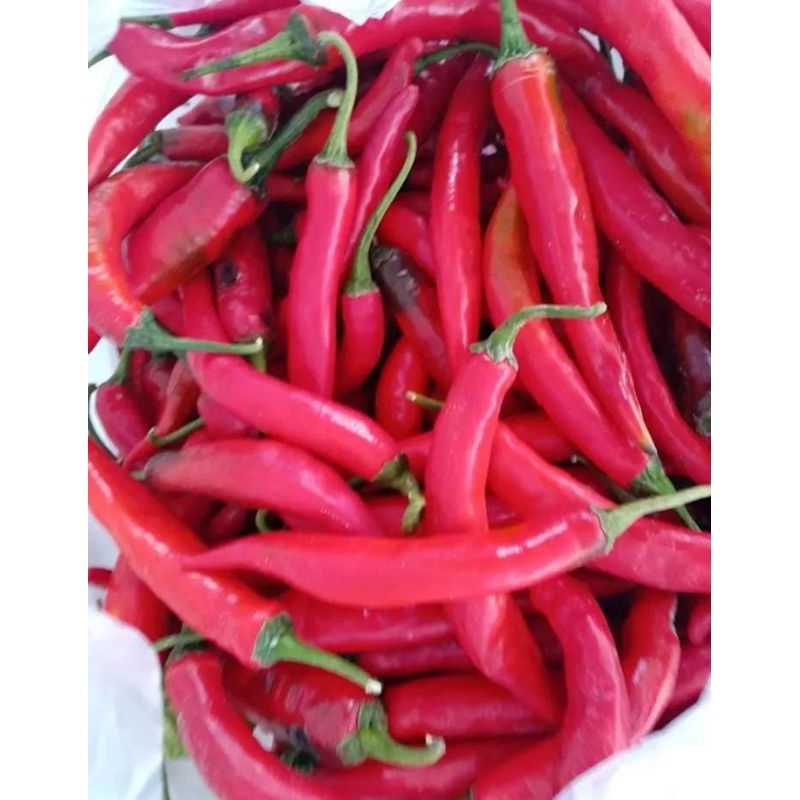 

cabai merah tropong - lombok tropong - cabe besar tropong 500gr