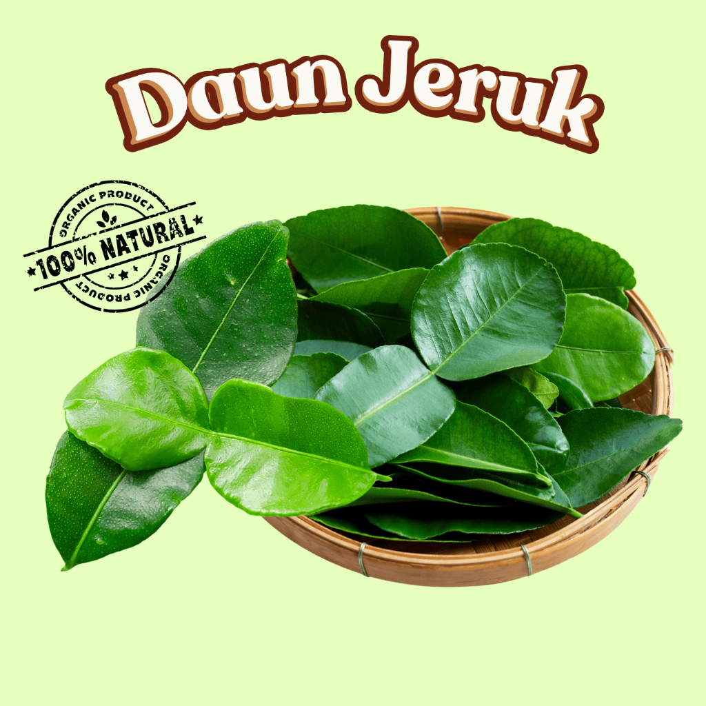 

DAUN JERUK PENGHARUM MASAKAN DAUN JERUK LEMBARAN 1 PACK SIAP MASAK DAUN FRESH BERKUALITAS PENYEDAP