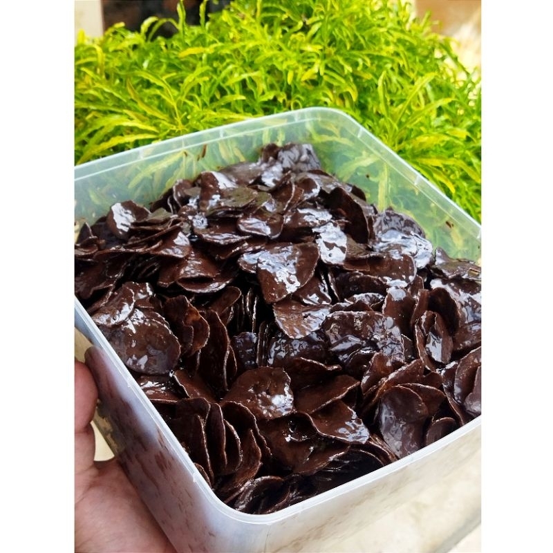 

Keripik Pisang Cokelat 3 varian rasa (Cokelat,Matcha,Tiramisu) 1/2kg