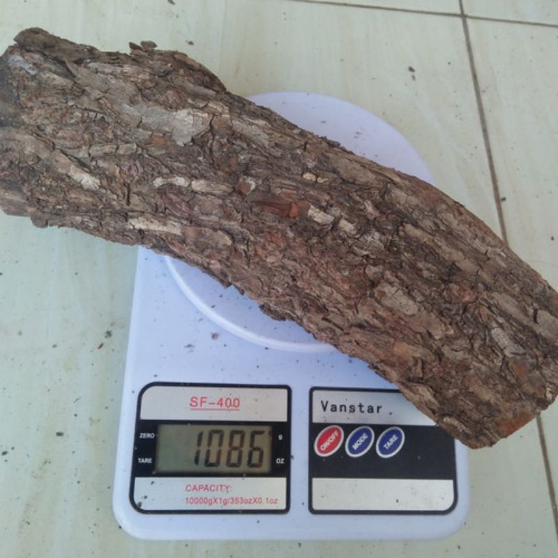 Bahan kerajinan kayu stigi asli berat 1 kg