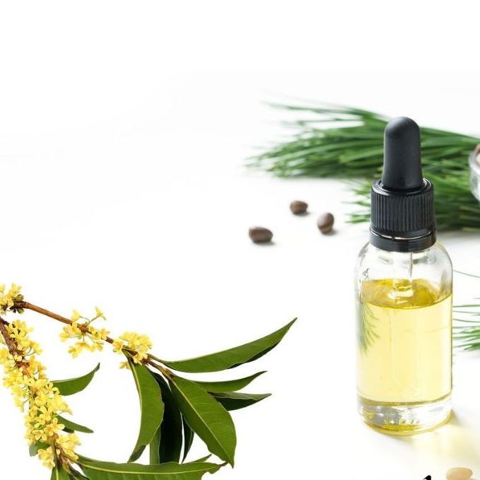 OSMANTHUS FRAGRANCE OIL perfume lilin candle soap sabun