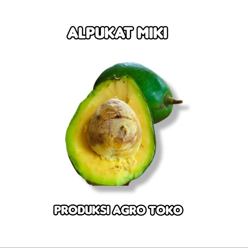 

alpukat miki 800 gram isi 2
