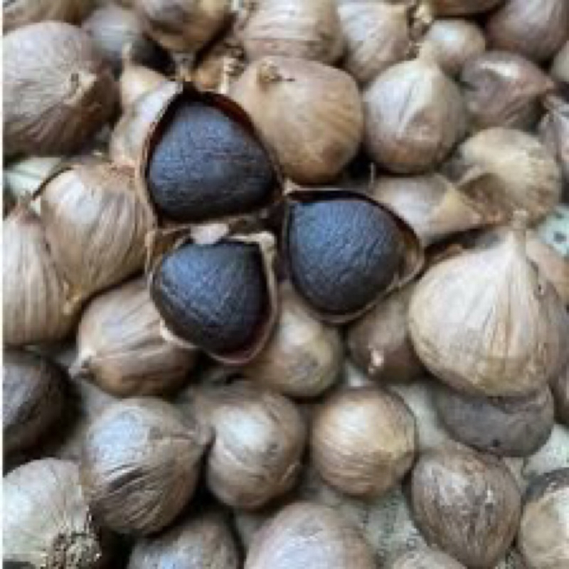 

Black Garlic / Bawang Hitam Tunggal / Kualitas Premium