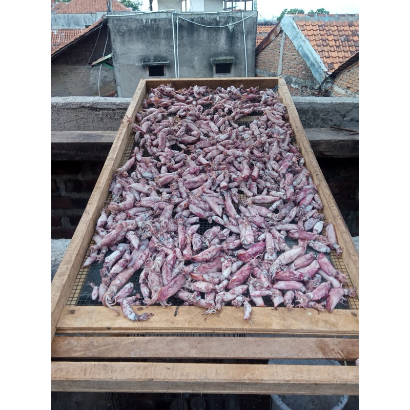 

cumi setengah kilo