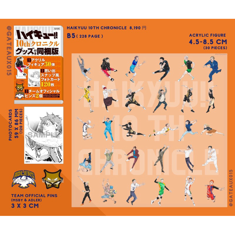 Haikyuu 10th Chronicle Standee’s