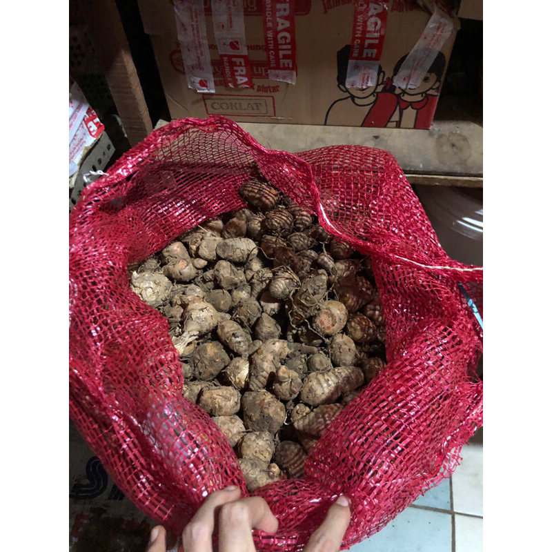 

Pala kunyit 500-1000g