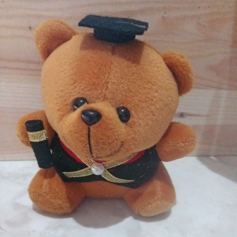boneka wisuda kado wisuda hampers wisuda