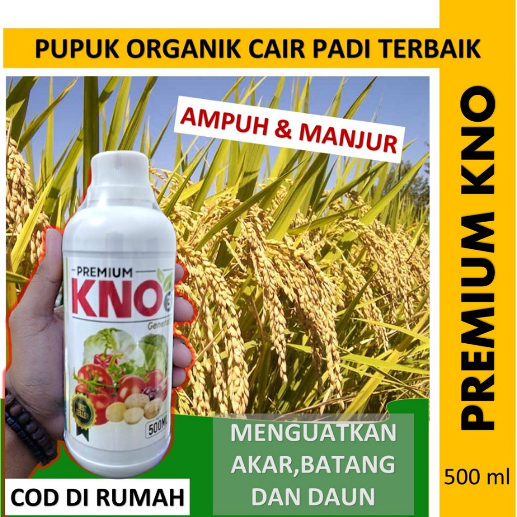 pupuk Paling Manjur Untuk Padi Sawah - PRMIUM KNO 500 ml pupuk cair padi sawah terbaik - pupuk cair 
