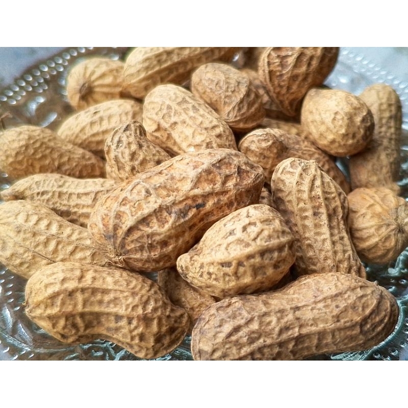 

Kacang Kulit Sangrai / Oven Khas Original 1kg