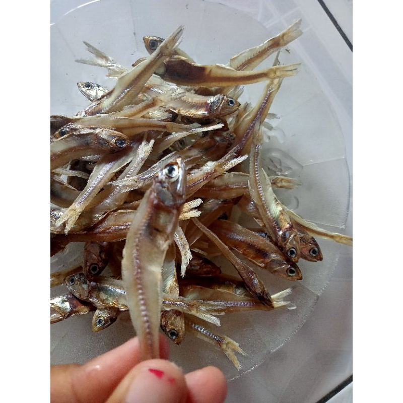 

badaputiah/dijaminfress/kriuk/wajibcoba