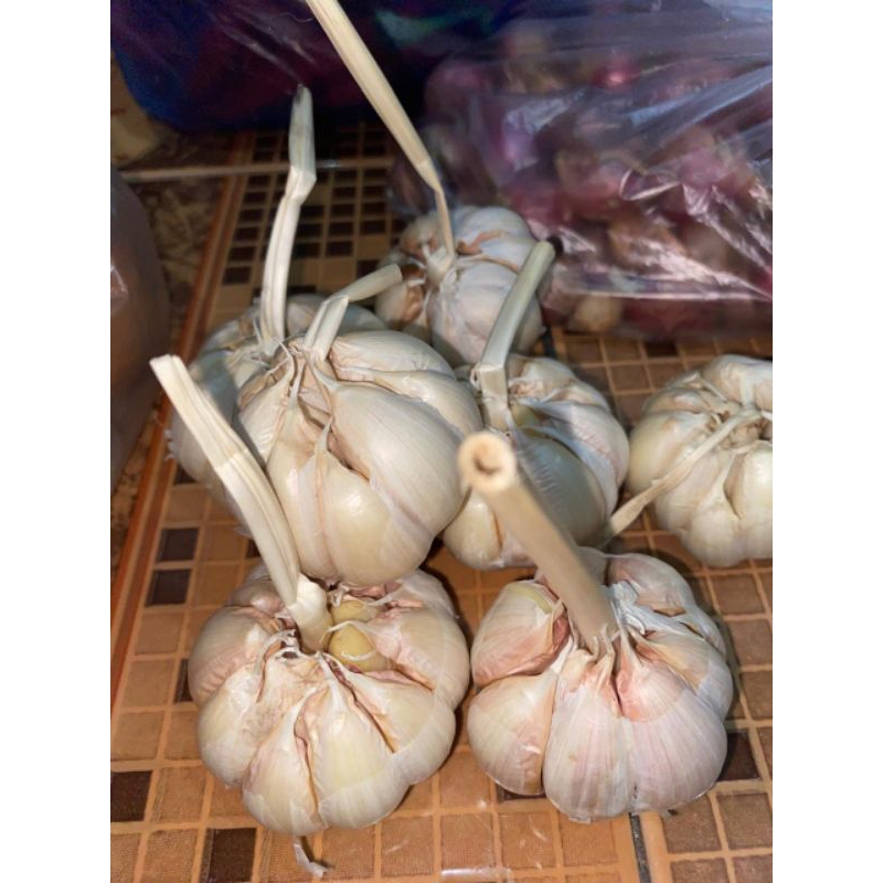 

Bawang Putih sinku 500gram