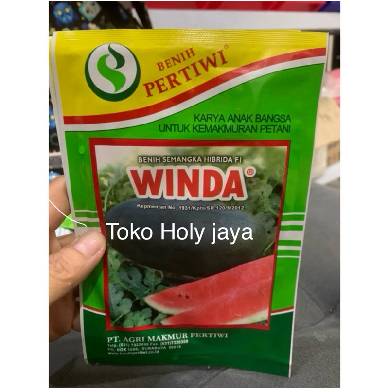 Benih semangka WINDA 20 gram semangka inul hibrida winda f1 20gr semangka merah winda dari benih per
