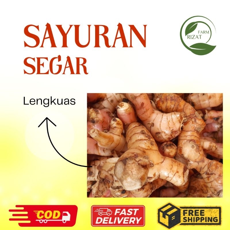 

[Dikirim Instant] Lengkuas Merah Segar Bumbu Dapur