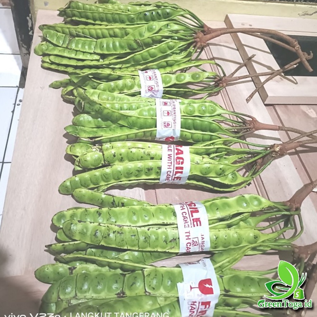 

OBRAL MURAH PETE 20 Papan/Lonjor SUPER SEGAR TUA COD