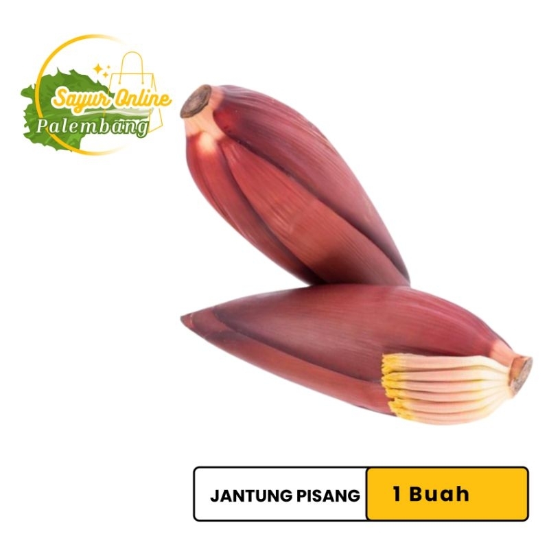 

Jantung Pisang 1buah - Sayur Online Palembang