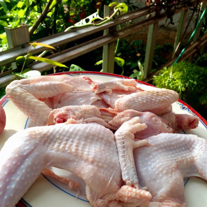 

Ayam Kampung Fresh Lepas/ Umbaran / Non Peternakan