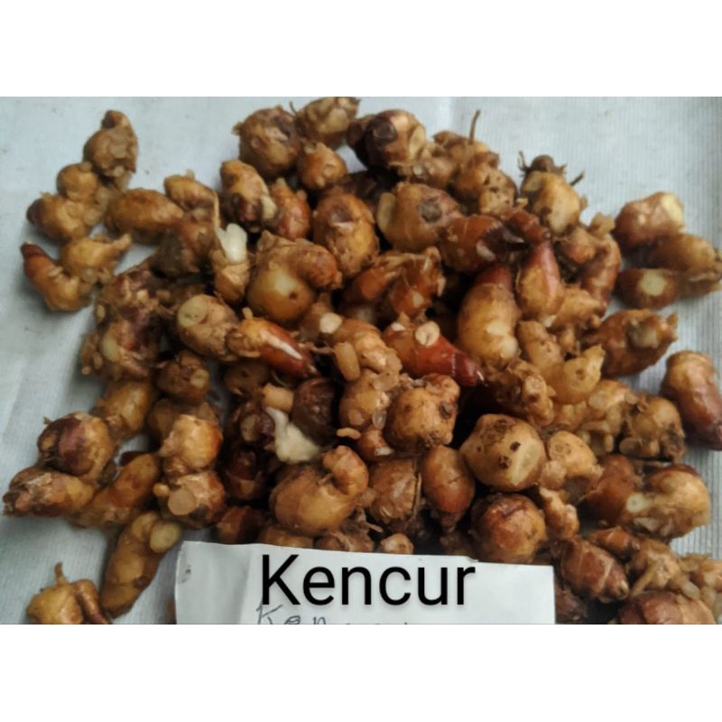 

kencur