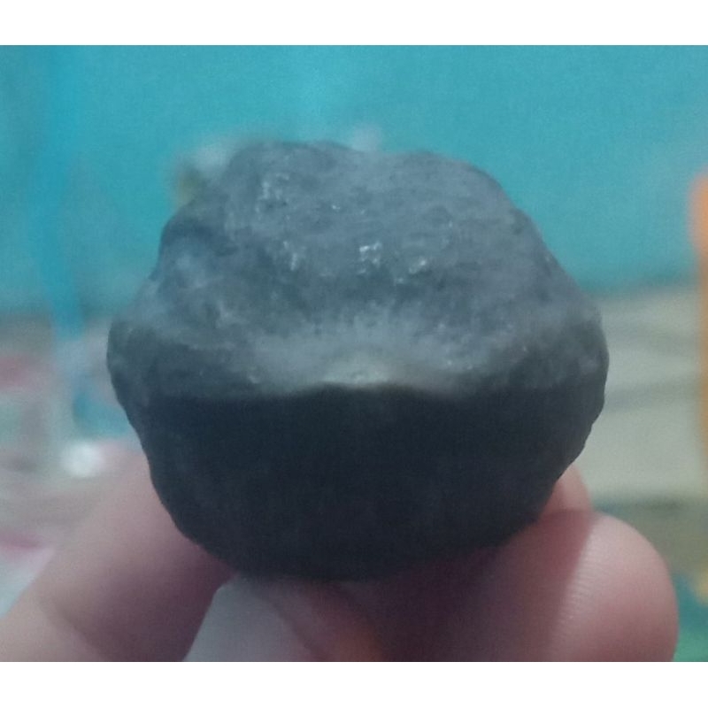 Muncang Aduan MJ Mayit Jawa