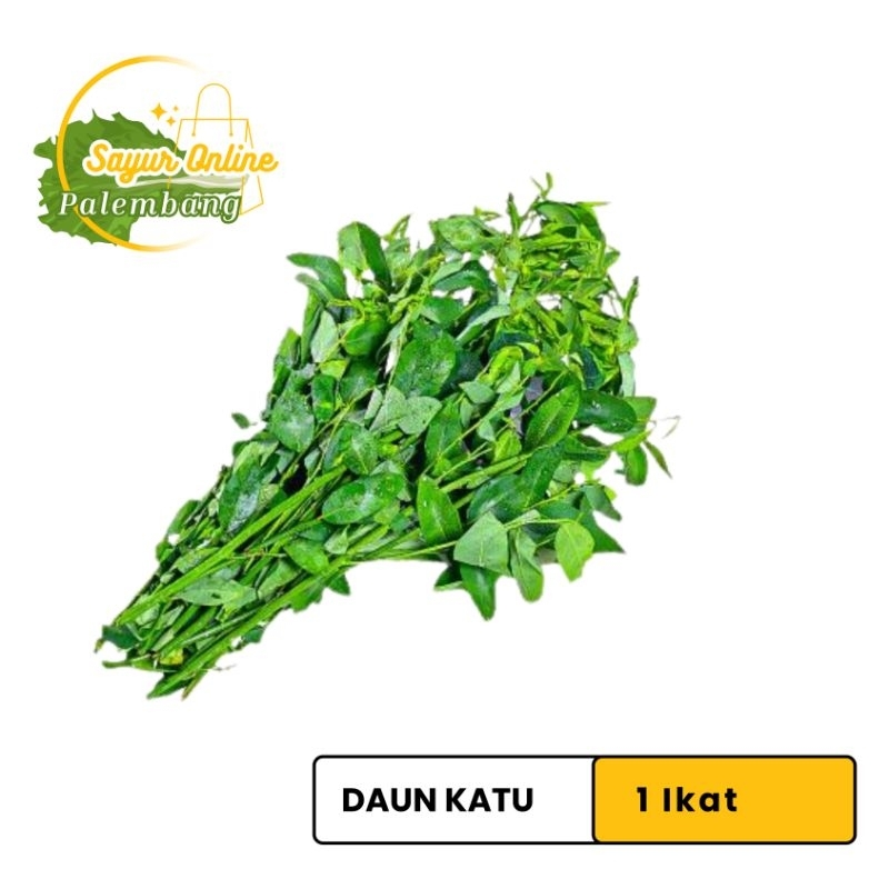

Sayur Katu 1Ikat - Sayur Online Palembang