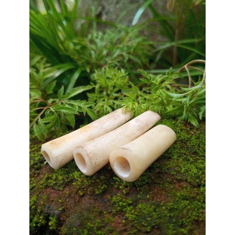 once tuslap pipa tulang sapi gurih