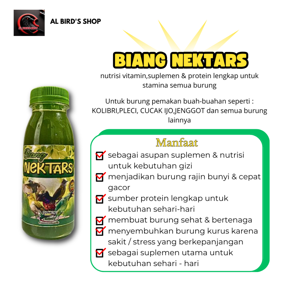 Biang nektar hijau kolibri sogon pleci lomba juara