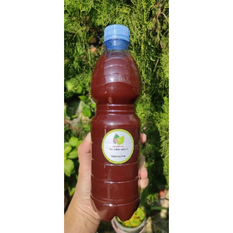 Pupuk organik - booster tanaman - bakteri fotosintesis - PSB Super Jakaba