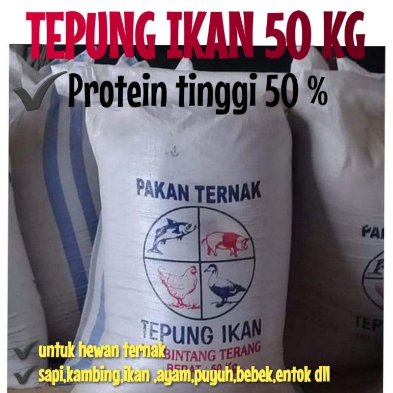 TEPUNG IKAN PROTEIN TINGGI 50 KG