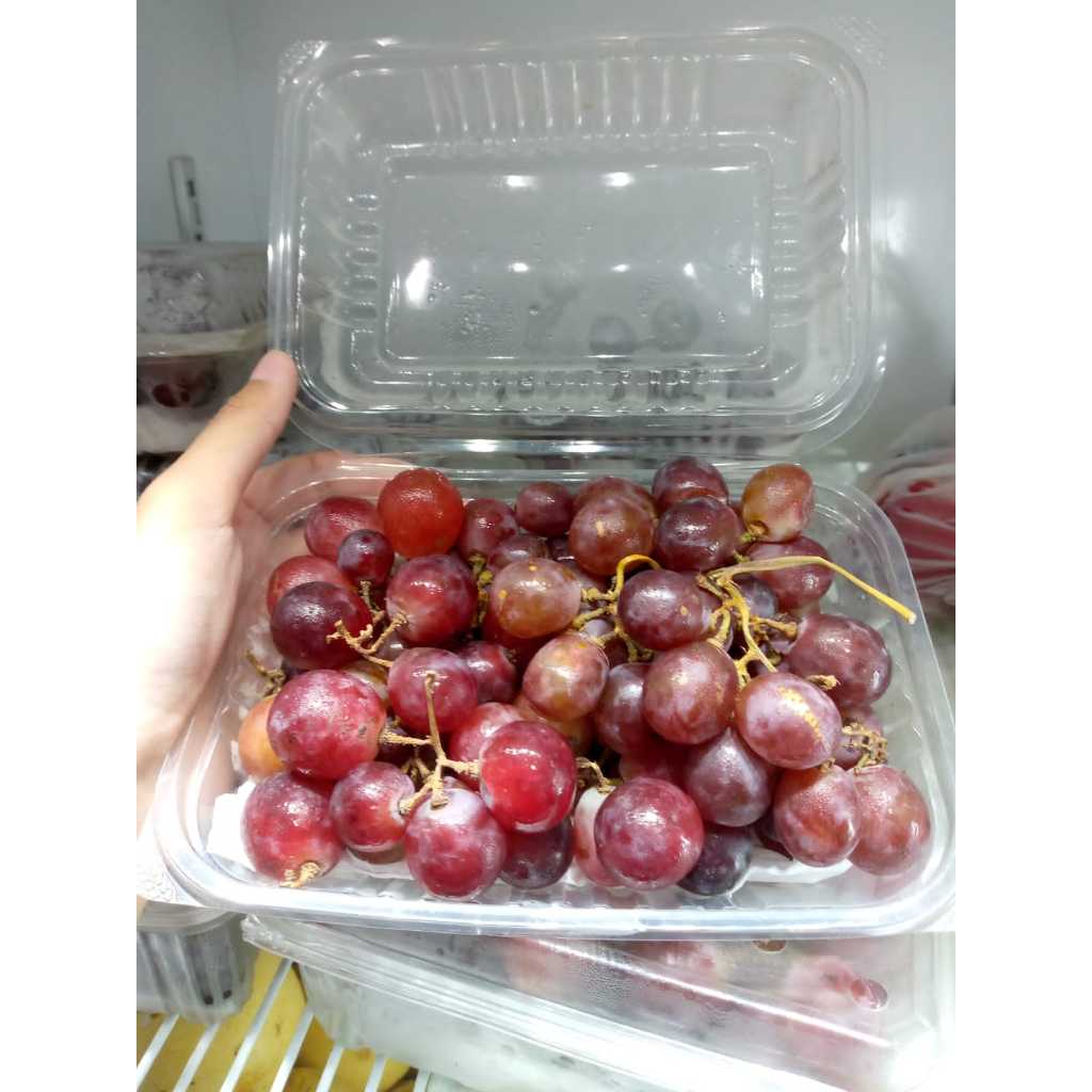 

Anggur Redglobe Pack 500Gram