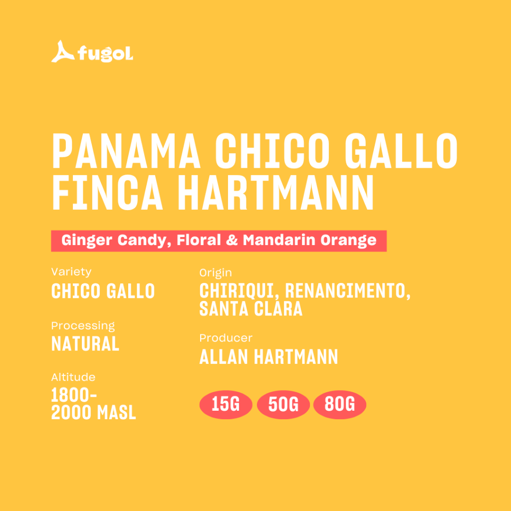 

Panama Chico Gallo Finca Hartmann Specialty Arabica Coffee