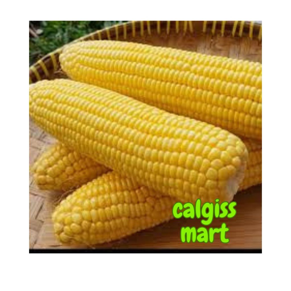 

Jagung Manis Muda 1pcs