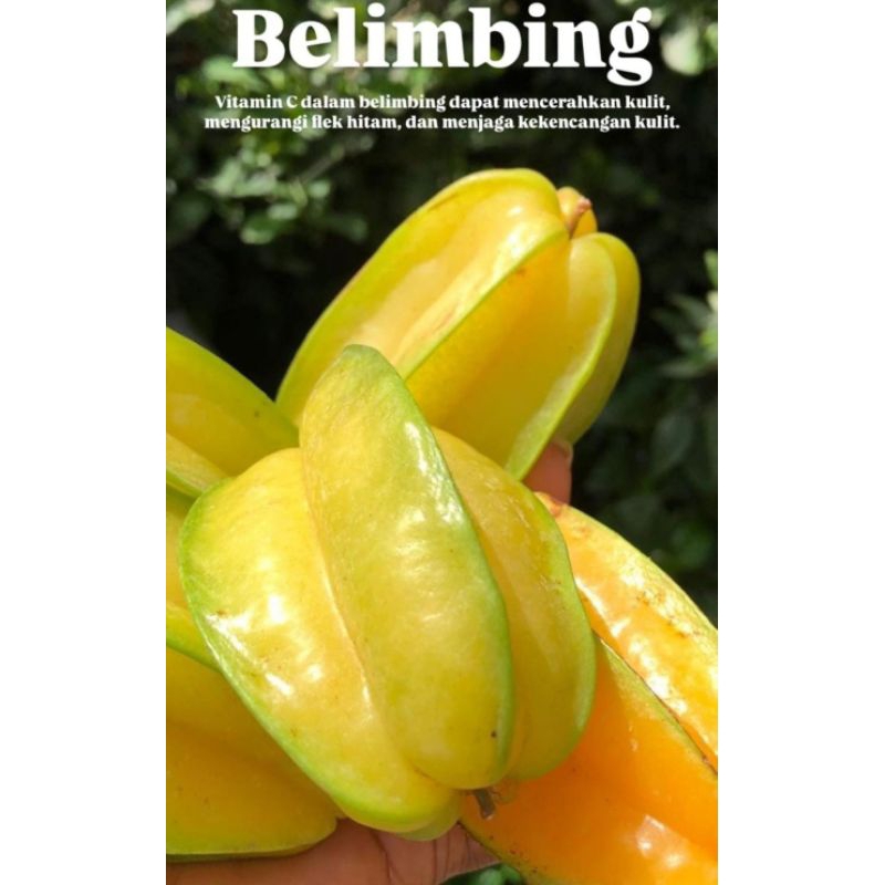 

Belimbing Madu