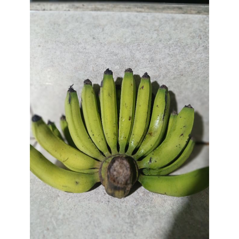 

[MENTAH] PISANG AMBON ASLI MANIS DALAM KUNING