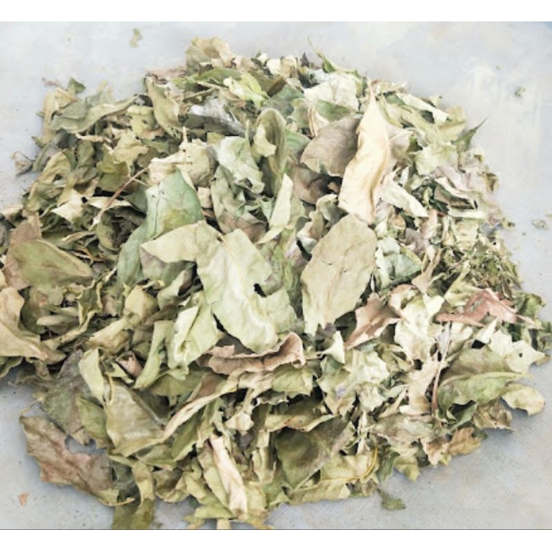 

Daun jaranan/kudo/Banten kering 500 g