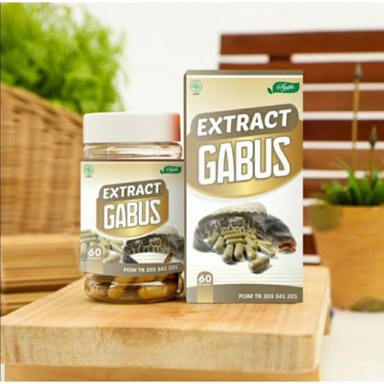 

Kapsul Extrak Ikan Gabus atau Ikan Kutus 60kps Syifa Herbal Mempercepat Proses Penyembuhan Luka