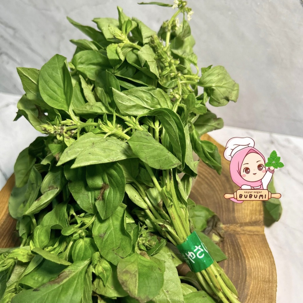 

Daun Kemangi Segar 1 ikat/Daun Surawung Lalap