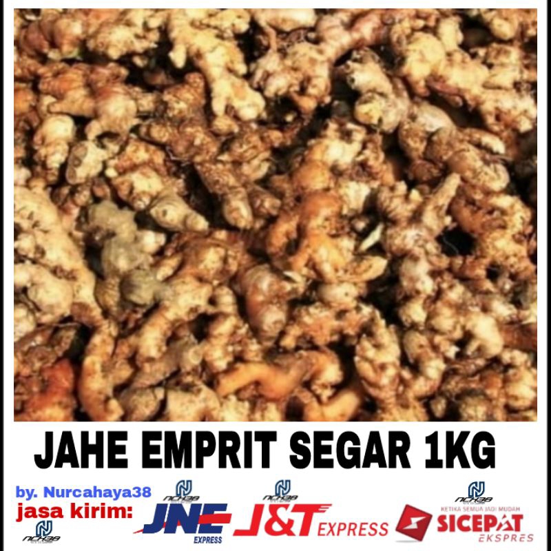 

Jahe Emprit segar 1 kg