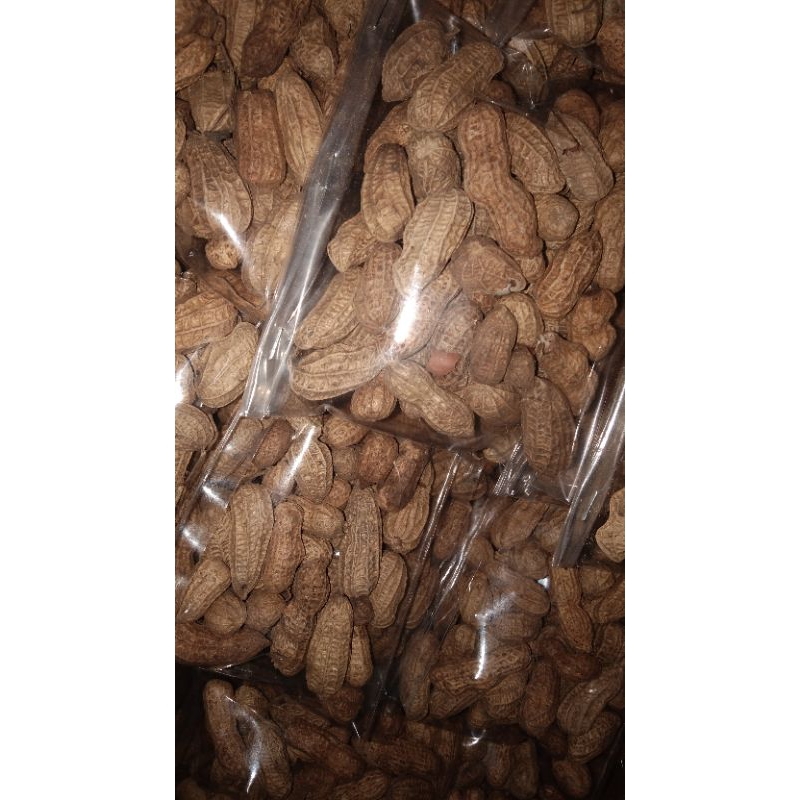 

kacang kulit sangrai 500gr