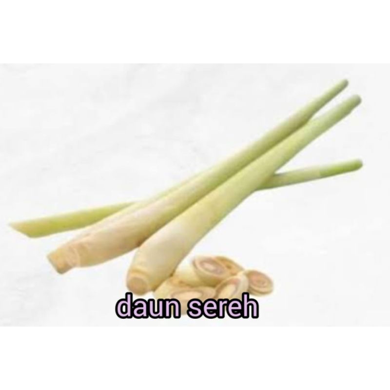 

DAUN SEREH SEGAR RP 6.000 / 500 gram