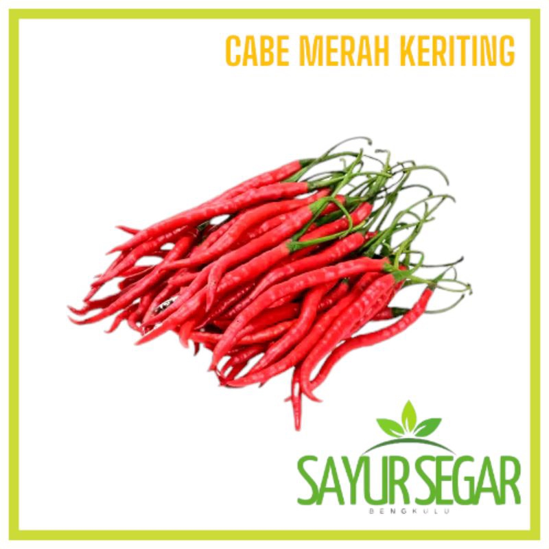 

Cabe Merah Keriting