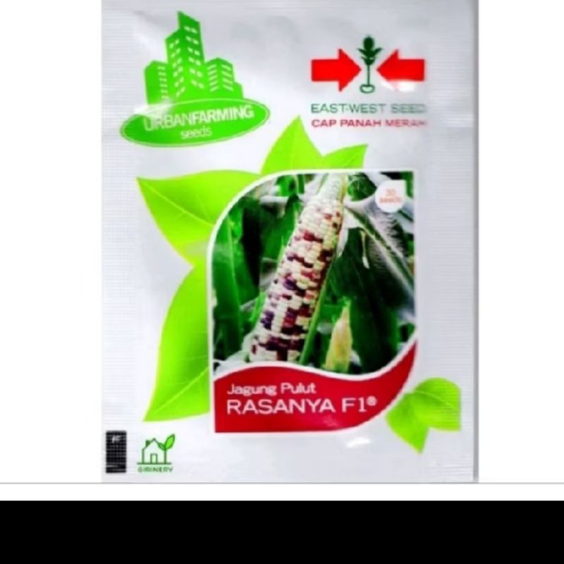 

biji benih jagung pulut dua warna /panah merah rasanya f1 kemasan pabrik