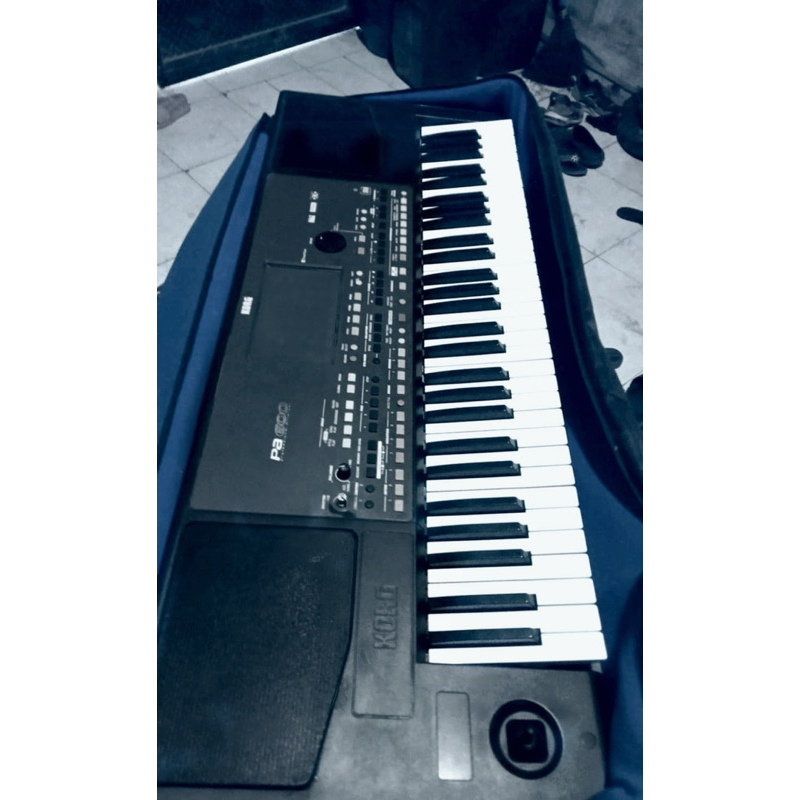 korg pa600 (keyboard korg pa600)