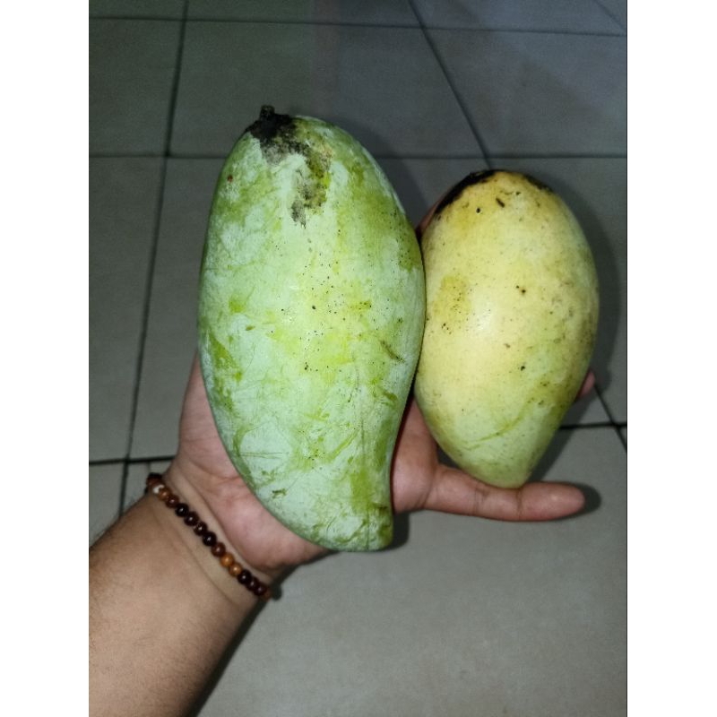 

mangga Ampyong 1kg mengkel + Bumbu geledeg orang karawang