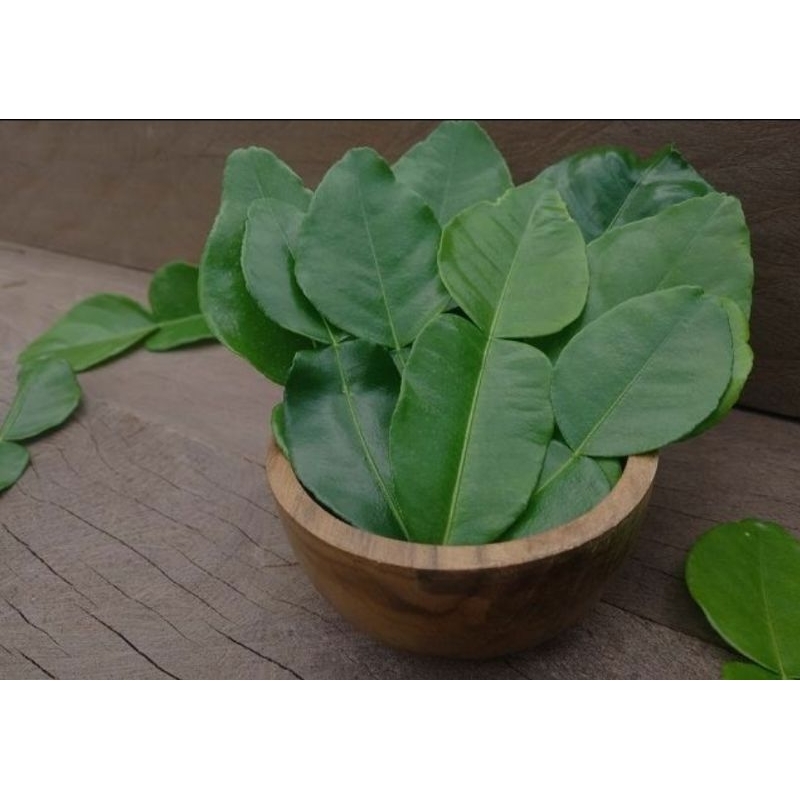 

daun jeruk mipis 100gram