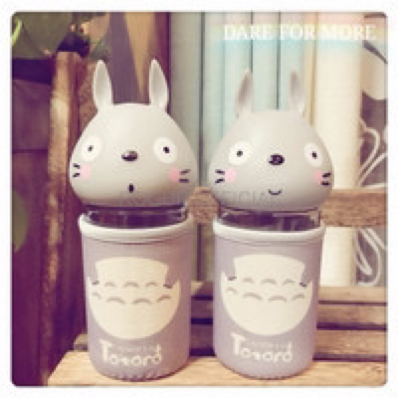 Botol Minum Kaca Totoro Termos Thermos Tumbler Tempat Bekal Gelas