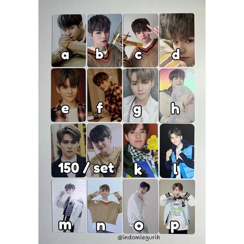 PHOTOCARD YOSHI TREASURE