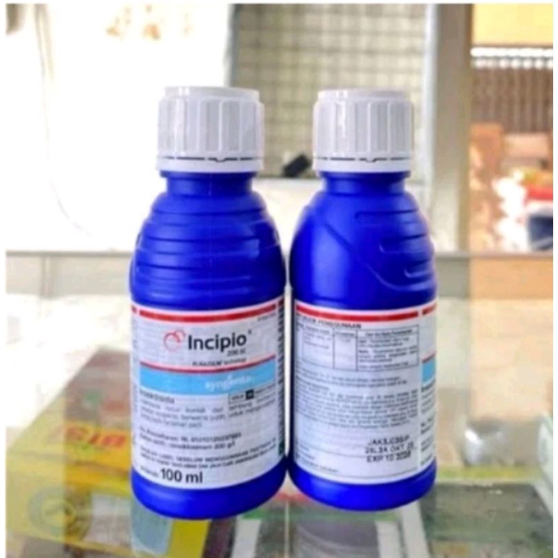 Incipio 100ml