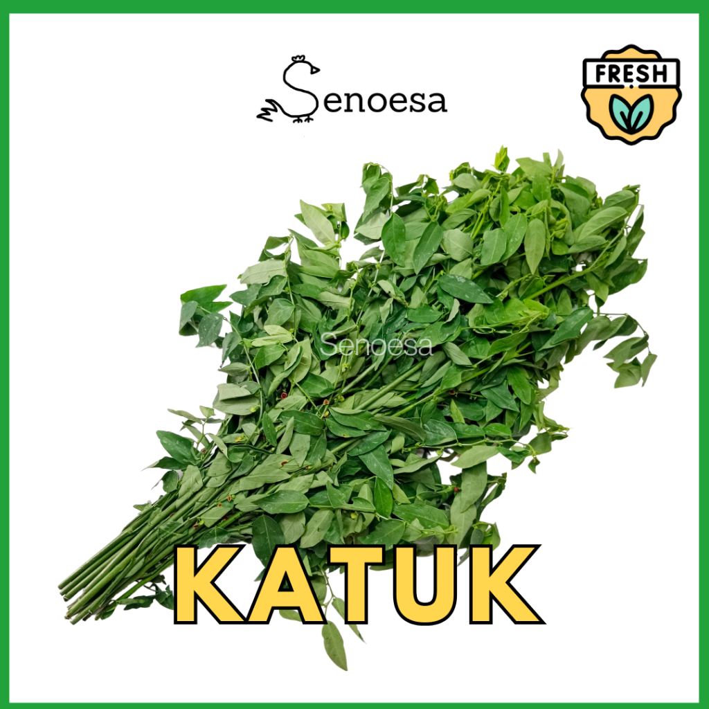 

(FRESH INSTAN) Katuk 1 Ikat
